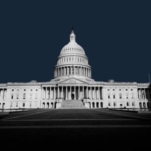 A picture of the U.S. Capitol on a dark background